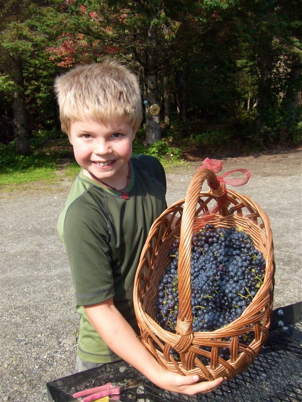 2007_0810BarrowBonanza0016