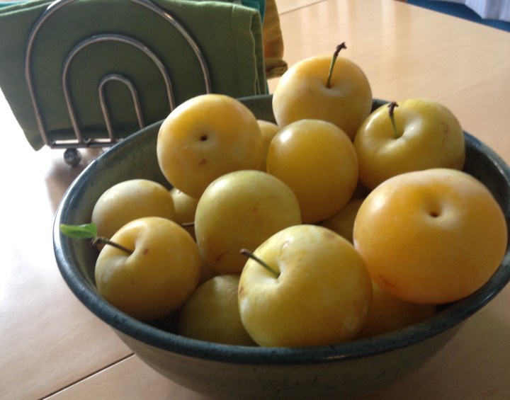 Yellow plums