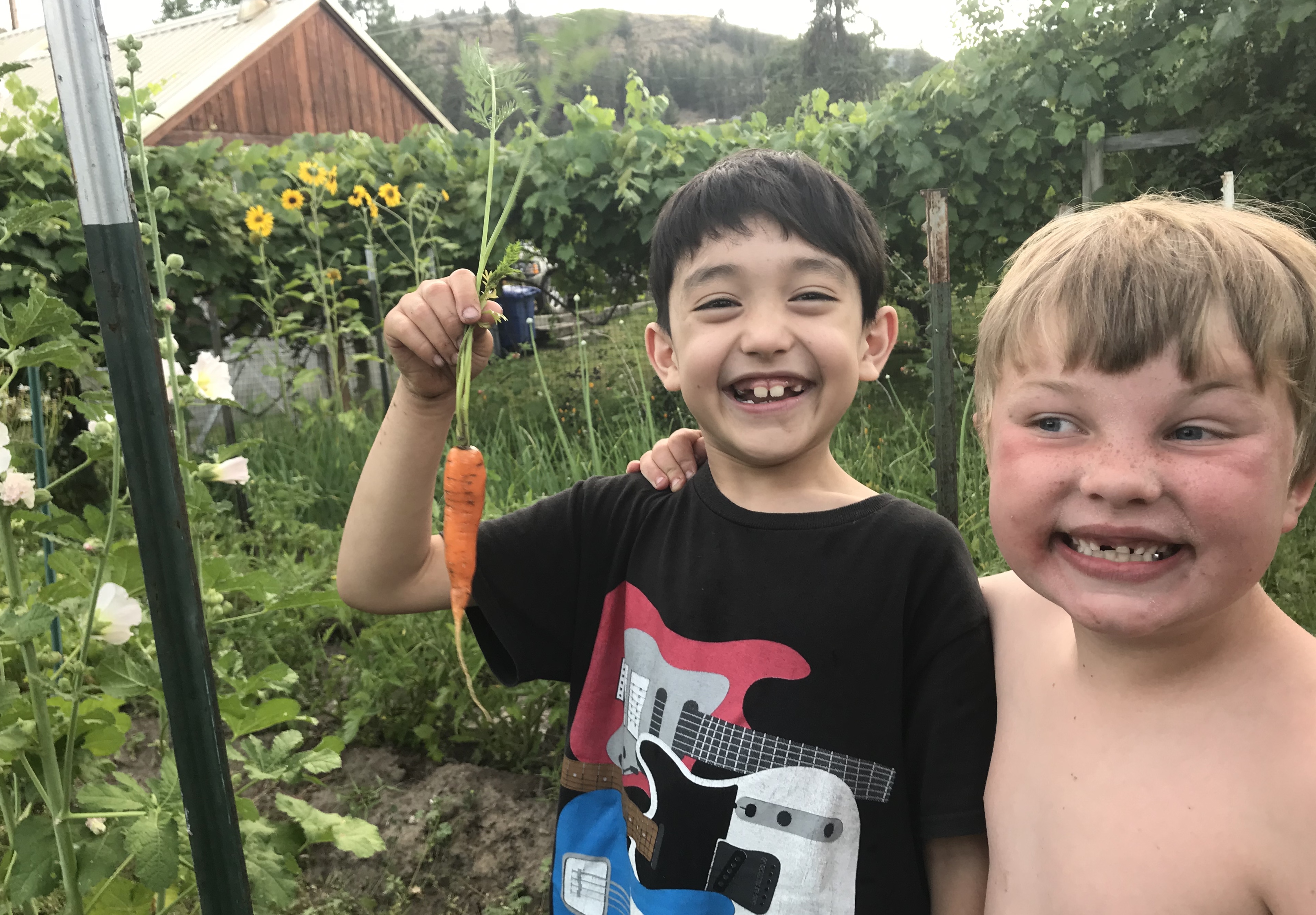 C359A723-E8BA-4C78-8EE0-EF468D8D4869