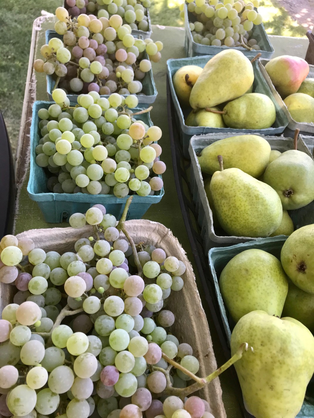 013DA2AF-A7DF-4EC7-869C-D029D1CD40E4