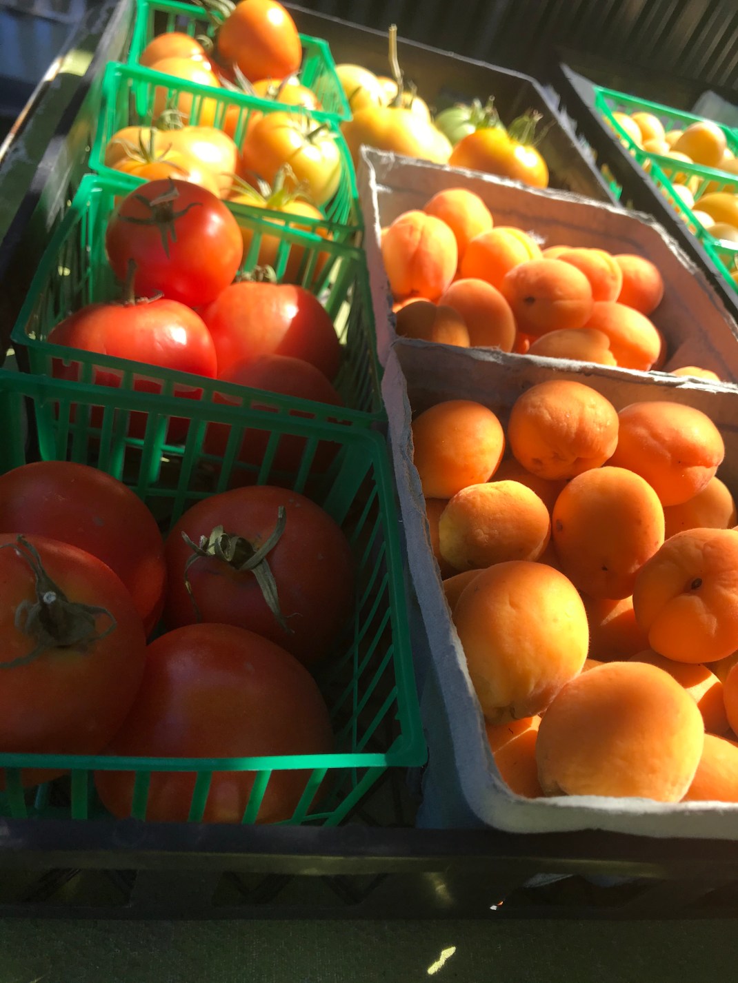 31CBB29D-904F-4E66-B28D-A8666E86811A