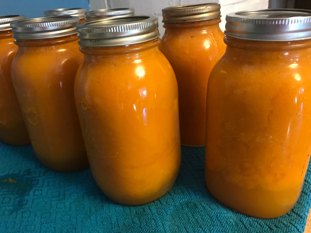 3AA18227-2F20-4870-AF0A-EB8860EDD548