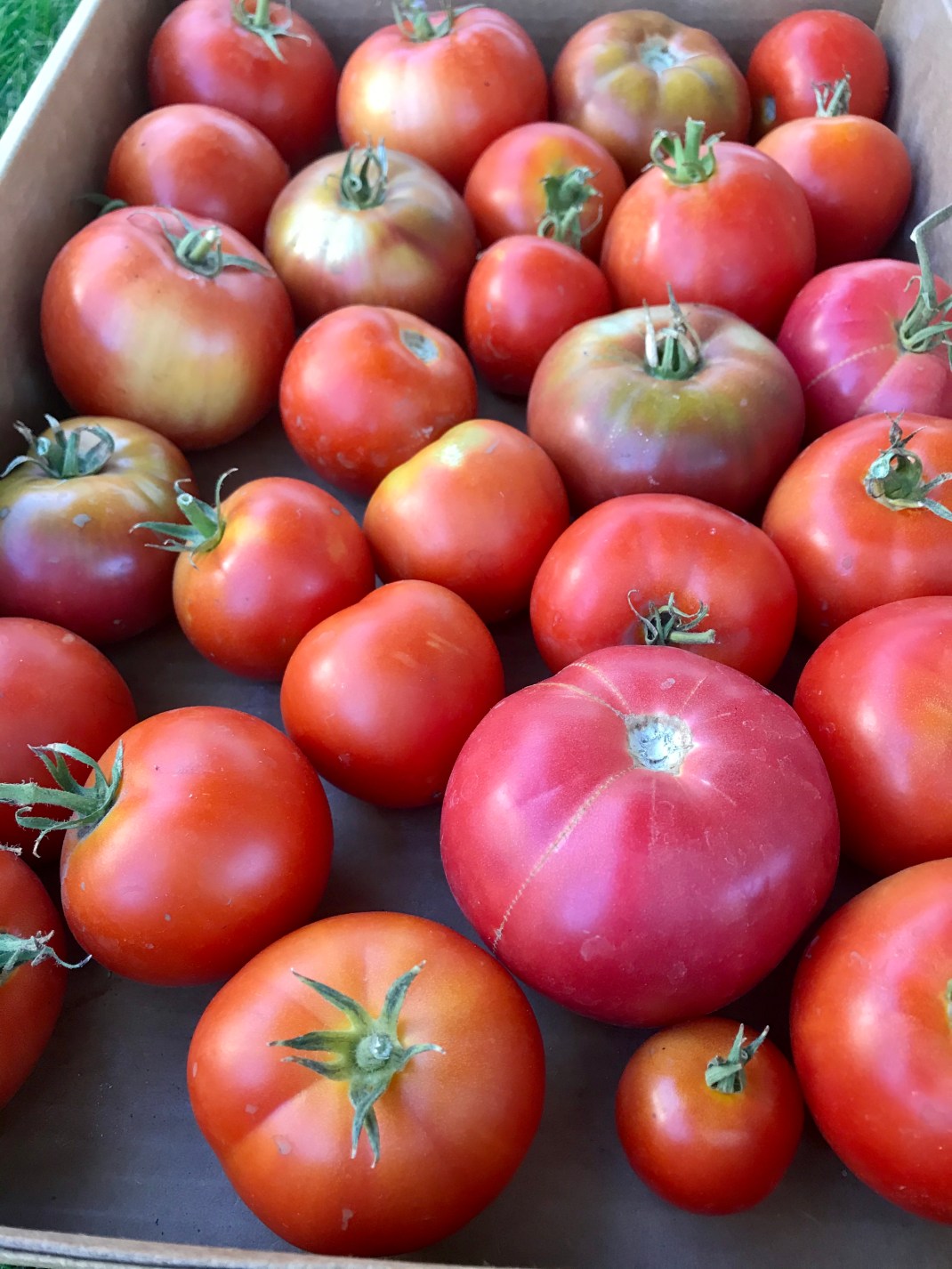 78F84849-28BA-447B-8B9D-7A353F27A1C6