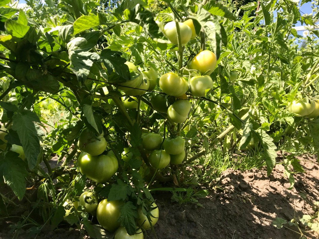 AA9F8207-6566-4C4E-917F-5DF6FD2ACBBE