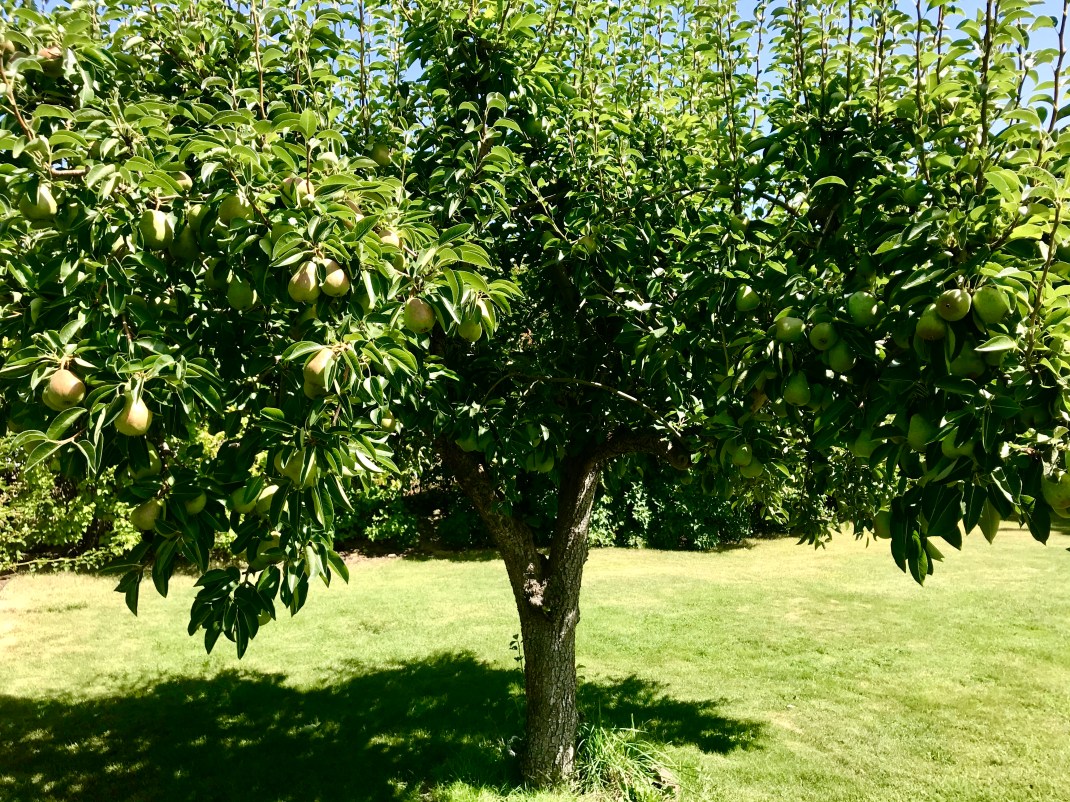 B104FAAA-D210-4315-ADE1-92745CCA5261