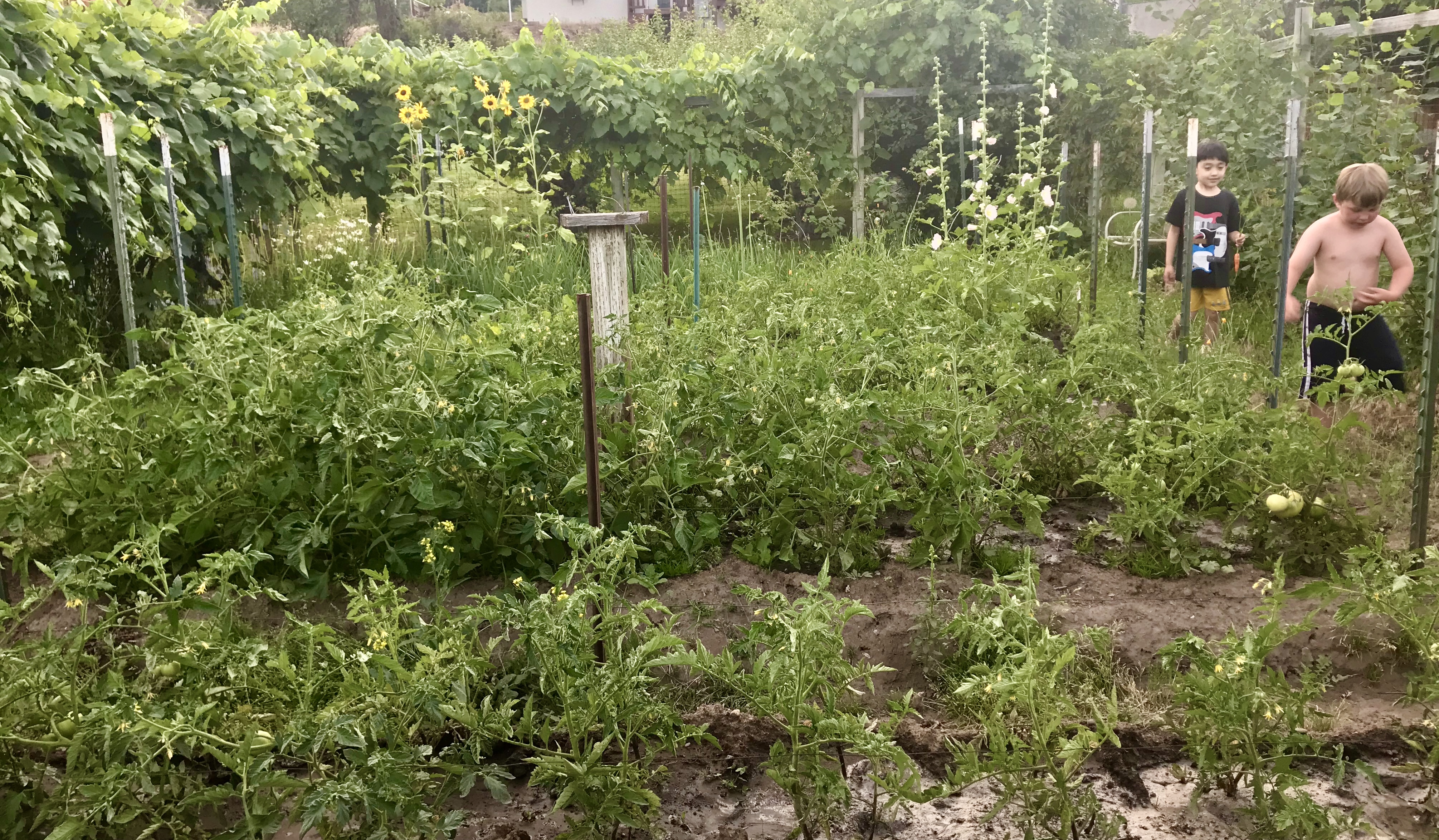 B4506E3D-7F77-44C4-BEDB-8306D1ECA285