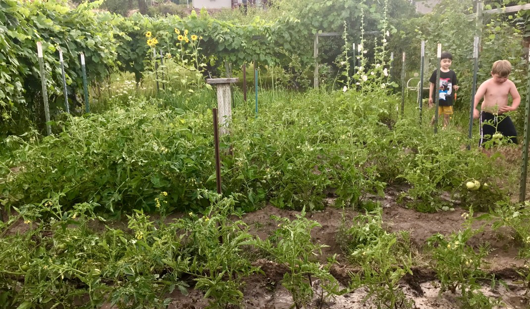 B4506E3D-7F77-44C4-BEDB-8306D1ECA285