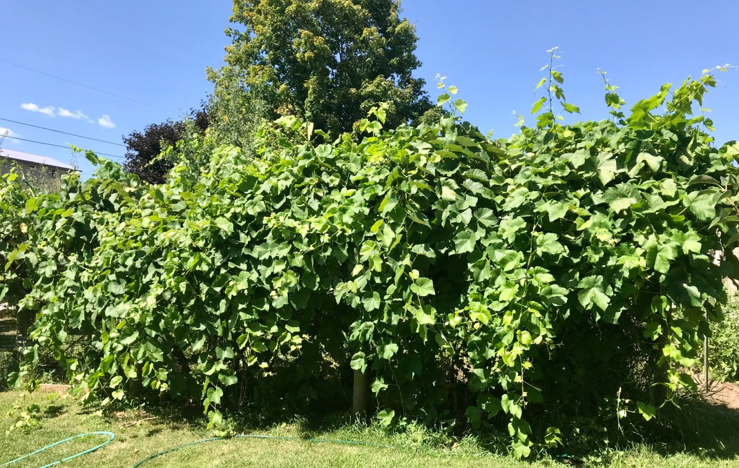 EA448D90-F4F6-4F1B-8BEB-53AA4BB2BCC9