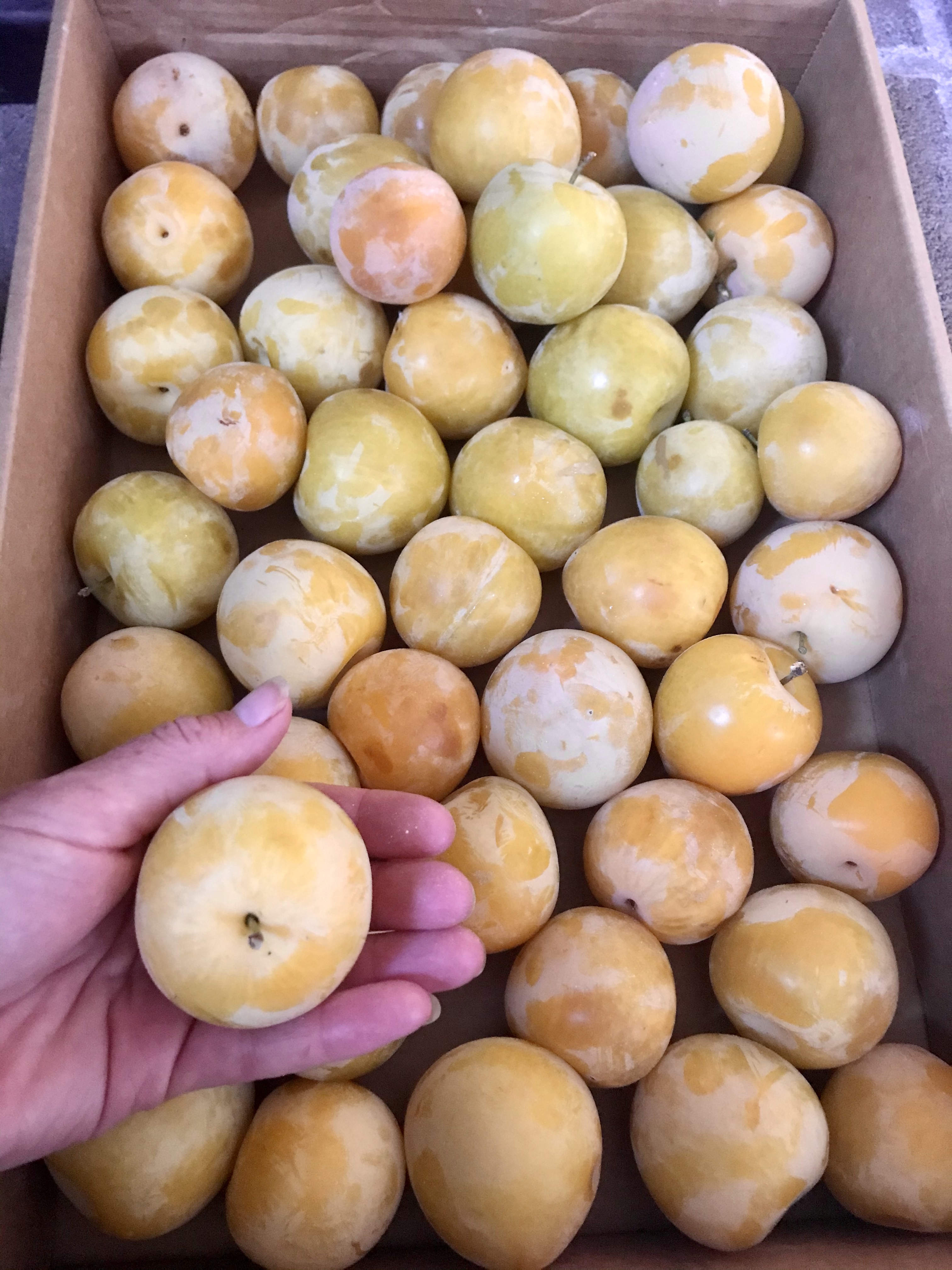 F02D0030-B633-4EAC-96A2-D43A15698CBC