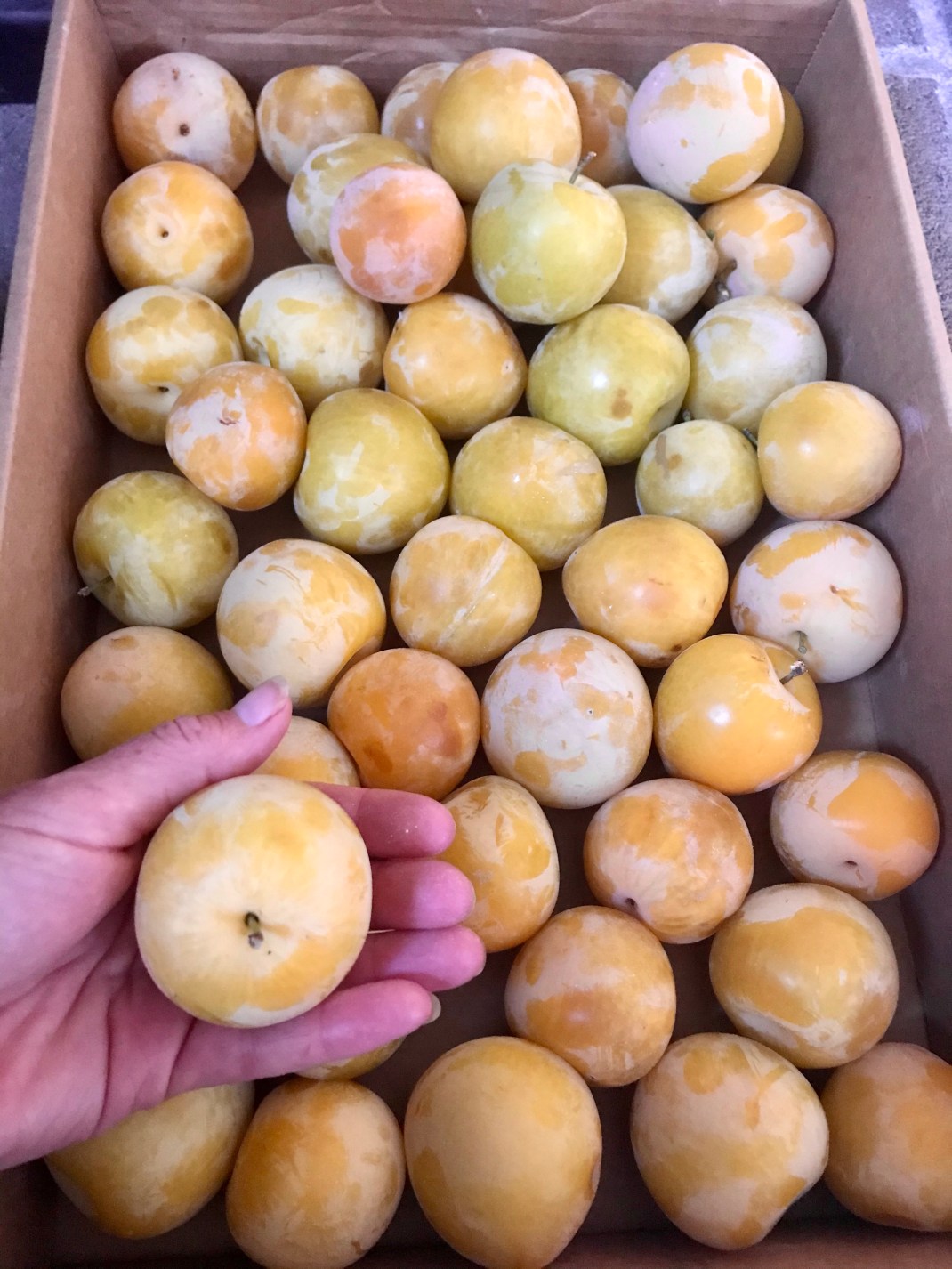 F02D0030-B633-4EAC-96A2-D43A15698CBC